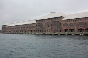 IMG 8611            